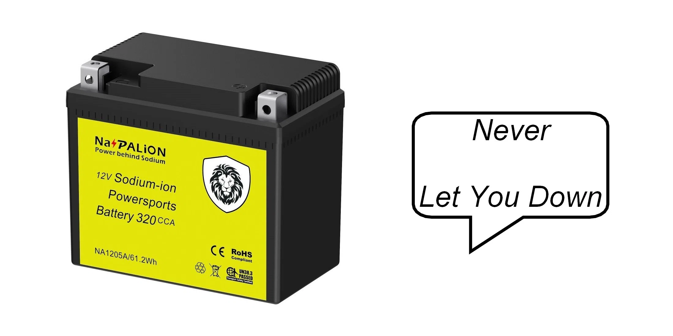 Sodium-ion powersports battery 320CCA NA1205A.webp